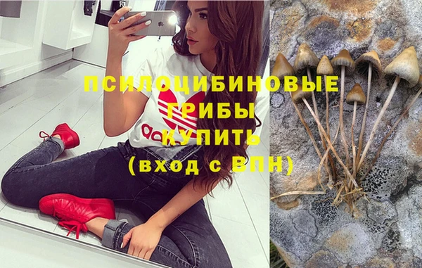 спиды Абинск
