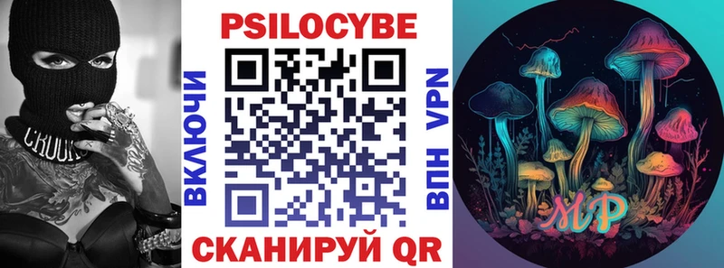 Галлюциногенные грибы Psilocybe  купить наркоту  Мамадыш 